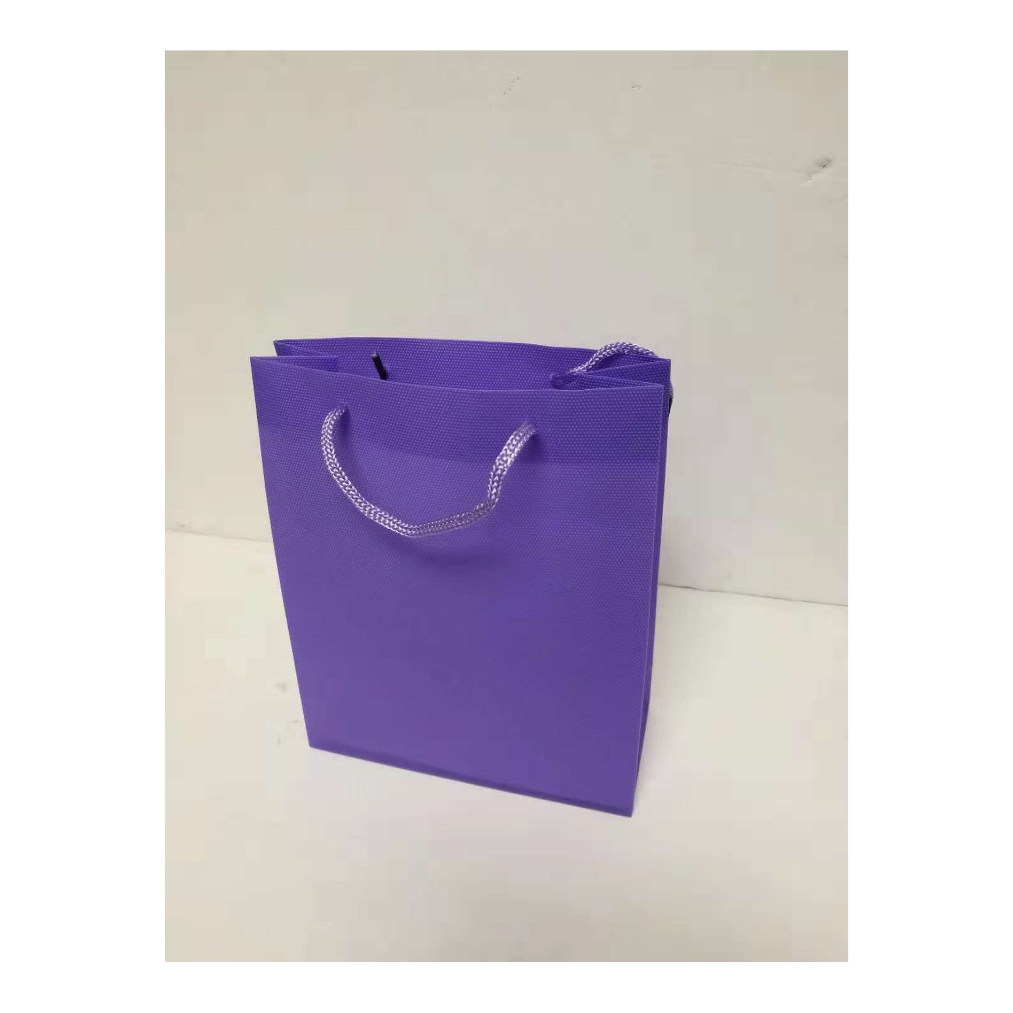 (c) Paper Gift Bag Medium Lavender
